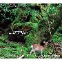 DAISHI DANCE -《the ジブリ set》专辑[MP3]