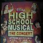 Various Artist -《歌舞青春原音重现演唱会》(High School Musical. The Concert  Extrme Access Pass)[原创/中英双字幕][DVDRip]