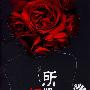《所谓婚姻》(Suo Wei Hun Yin)闻佳演播/40集[MP3]