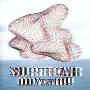 Supercar -《OOYeah!!》专辑[MP3]