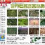 《电脑迷2009一月下》(PC Fan)ISO光盘镜像