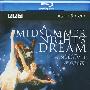 《仲夏夜之梦》(A Midsummer Night's Dream)CHD联盟[1080P]