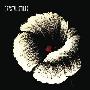 Crystal Stilts -《Alight Of Night》[MP3]