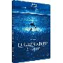 《碧海蓝天》(The Big Blue)导演剪辑版[BDRip]