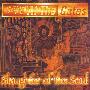 At The Gates -《Slaughter Of The Soul》Reissue In 2002[FLAC]