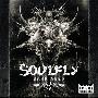 Soulfly -《Dark Ages》[APE]