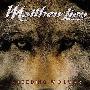 Matthew Lien 马修.连恩 -《狼》(Bleeding Wolves)320kbps[MP3]