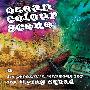 Ocean Colour Scene -《A Hyperactive Workout for the Flying Squad》320K[MP3]