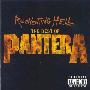 Pantera -《Reinventing Hell - The Best of Pantera》[MP3]