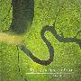 Dead Can Dance -《The Serpent's Egg》MFSL Hybrid SACD[WV]