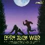 Mark Snow -《威猩闯天涯》(Born to Be Wild)Original Score[MP3]
