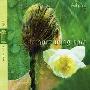Dan Gibson -《滋润的雨》(Nurturing Rain)PlayZip[WV]
