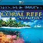 《IMAX 珊瑚礁》(IMAX Coral Reef Adventure)[BDRip]