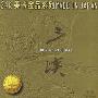 余亦五 -《三峡》(The Yangtze Gorges)美卡音像[APE]