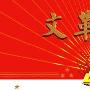 《文革电影之四十七 闪闪的红星》(Sparking Red Star)[DVDRip]
