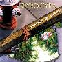 Spyro Gyra -(Point Of View)[FLAC]