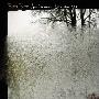Bon Iver -(For Emma, Forever Ago)[MP3]