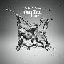 Carolina Liar -《Coming To Terms》[MP3]+[FLAC]