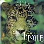 Dan Gibson -《秘密丛林》(Secrets Of The Jungle)[MP3]