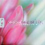 Dan Gibson -《舒缓宁静》(Relax Peacefully)[MP3]