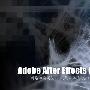 《Adobe After Effects CS4 新增功能教程（中文视频）》(Adobe After Effects CS4 Training)11月30日更新至Chapter 3 Part 1