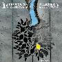 《柠檬树》(Lemon Tree)[DVDRip]