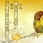 《娱乐大风暴》(EntertainmentNews)[伊甸园梦作坊出品]更新08.11.21[RMVB]