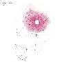 川嶋あい(Kawashima Ai) -《Simple Treasure》专辑[FLAC+MP3]