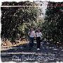 Isaac Shepard -(On Subtle Ground)[VBR V0][MP3]