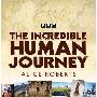 《BBC.神奇的古人类旅程》(BBC The Incredible Human Journey )[DVDRip]