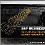 《[Flash教程]SAP中小型企业解决方案》(SAP Business One )[压缩包]