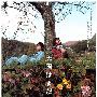 《天国遥遥》(Tengoku wa mada tôku)[DVDRip]