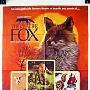 《狐狸的故事》(Story of the Northern Fox)日语/普通话双语版[DVDRip]