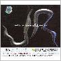 JR.极光爵士乐团 -《美丽世界》(What a wonderful world)[MP3]