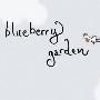 《蓝莓花园》(Blueberry Garden Special Subject)专题[压缩包]