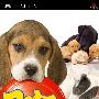 《宠物：我的小狗之家》(Petz My Puppy Family)欧版[光盘镜像][PSP]