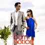 《干嘛炒我 第三季》(Burn Notice Season3)[FRTVS小组出品]更新第3集[RMVB]