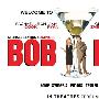 《鲍勃·方克》(Bob Funk)[DVDRip]