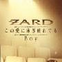 ZARD -《この爱に泳ぎ疲れても》单曲[FLAC]