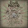 Enter Shikari -《Take To The Skies》[MP3]