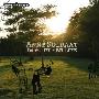 Anne Soldaat -《In Another Life》[MP3]