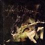 Sparklehorse -《Chest Full of Dying Hawks》[FLAC]