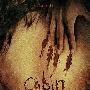 《尸骨无存》(Cabin Fever)[BDRip]