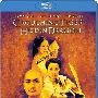 《卧虎藏龙》(Crouching Tiger Hidden Dragon)国英双语版[BDRip]