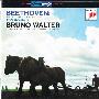 Bruno Walter 布鲁诺·瓦尔特 -《贝多芬: F大调第六交响曲“田园”》(Beethoven Symphony No. 6  in F major, Op. 68 "Postorale")Sony Blu-Spec CD[APE]