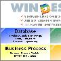 《完整建模环境》(WinDesign)v9.0.2[压缩包]