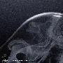 Stevens -《我会变成谁》(The One That I've Become)320kbps[MP3]