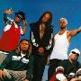 Korn -《MV合集》(The Videos)[TVRip]