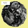 Jay Haze -《Fabric 47》[FLAC]