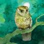 Sleeping At Last -《Storyboards》[MP3]